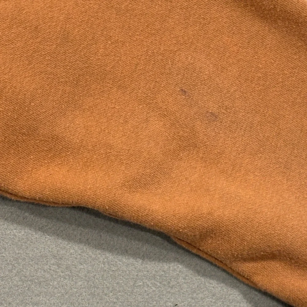 The‎ North Face Hoodie Mens Large Brown Pullover Fleece Hooded Graphic Logo
